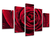 Ζωγραφική τοίχου 5 τμημάτων FLOWERS KV012E50
